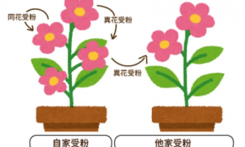 代文80毫克和160毫克的区别-代文80毫克一天能不能吃2粒、代文有40mg的吗 -代文80毫克效果不好网