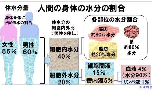 代文80mg-代文80毫克一天能不能吃2粒、代文有40mg的吗 -代文80毫克效果不好网